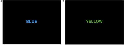 Different Cortex Activation and Functional Connectivity in Executive Function Between Young and Elder People During Stroop Test: An fNIRS Study